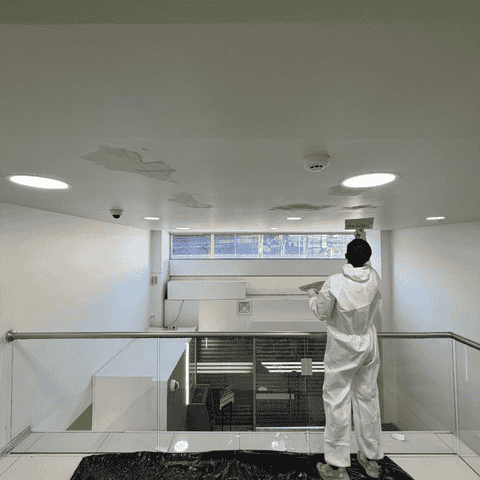Trabajo técnico de Igmaan